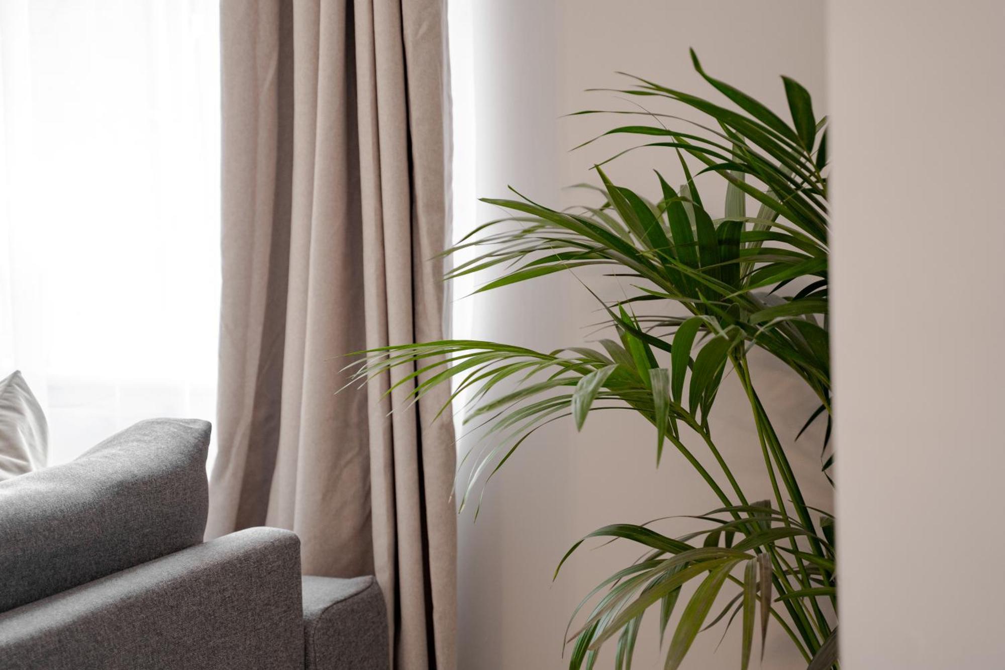 Stylish & Recently Refurbished Chester Apartment - Up To 6 Kültér fotó